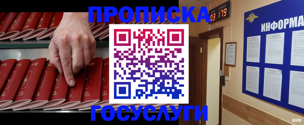 форма 3 в Камчатской области