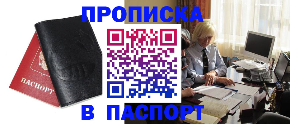 временная регистрация поиск в Камчатской области